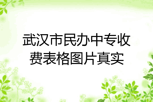 武汉市民办中专收费表格图片真实