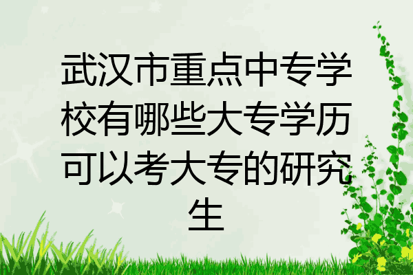 武汉市重点中专学校有哪些大专学历可以考大专的研究生