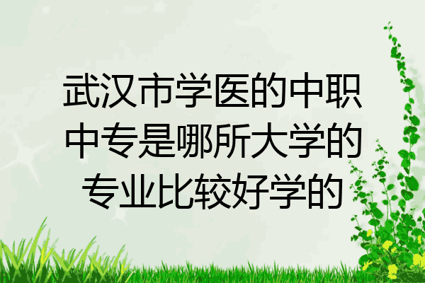 武汉市学医的中职中专是哪所大学的专业比较好学的