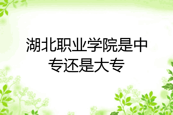湖北职业学院是中专还是大专