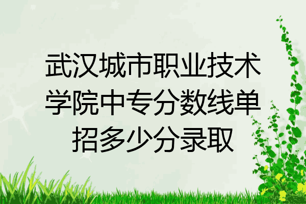 武汉城市职业技术学院中专分数线单招多少分录取