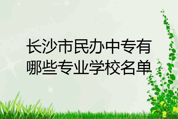 长沙市民办中专有哪些专业学校名单