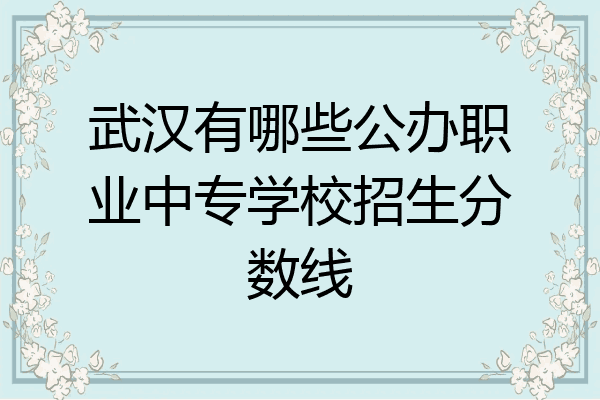 武汉有哪些公办职业中专学校招生分数线