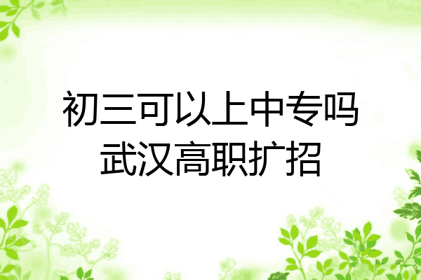 初三可以上中专吗武汉高职扩招
