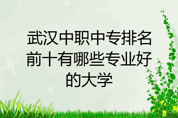 武汉中职中专排名前十有哪些专业好的大学