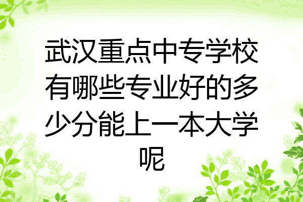武汉重点中专学校有哪些专业好的多少分能上一本大学呢