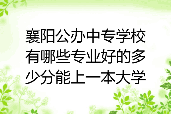 襄阳公办中专学校有哪些专业好的多少分能上一本大学