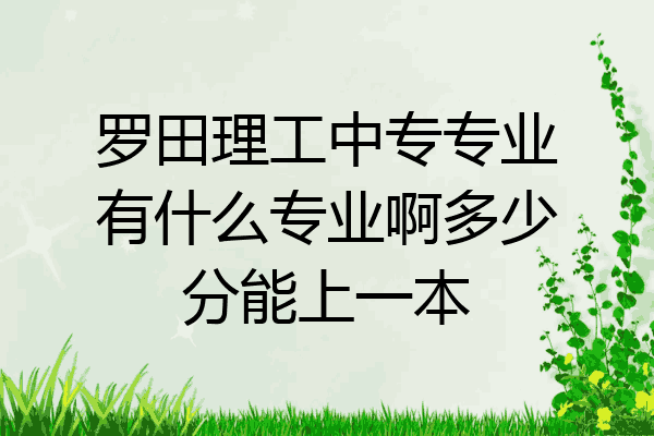 罗田理工中专专业有什么专业啊多少分能上一本