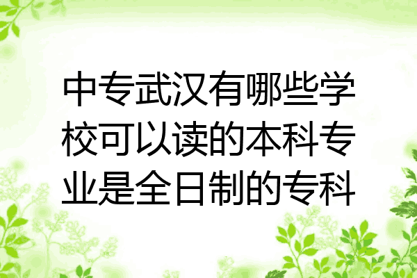 中专武汉有哪些学校可以读的本科专业是全日制的专科