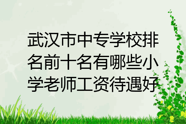 武汉市中专学校排名前十名有哪些小学老师工资待遇好