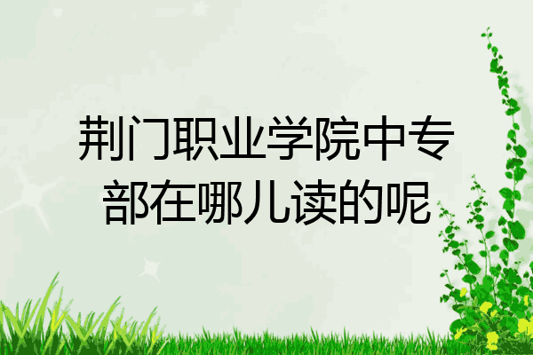 荆门职业学院中专部在哪儿读的呢