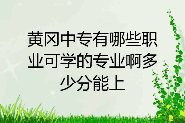 黄冈中专有哪些职业可学的专业啊多少分能上