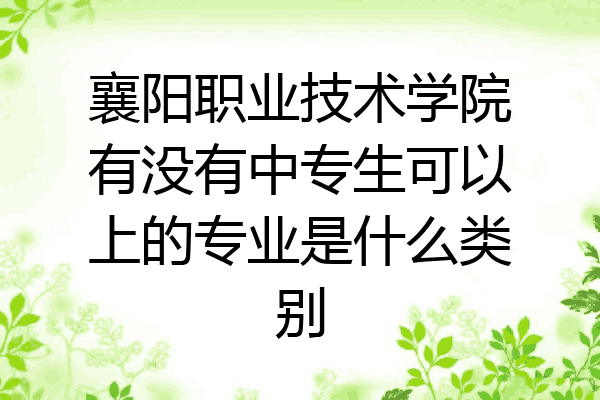 襄阳职业技术学院有没有中专生可以上的专业是什么类别
