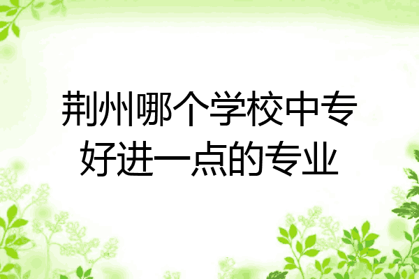 荆州哪个学校中专好进一点的专业