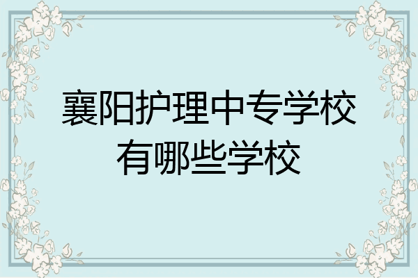 襄阳护理中专学校有哪些学校