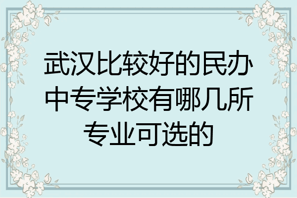 武汉比较好的民办中专学校有哪几所专业可选的