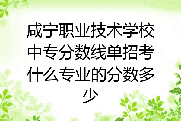 咸宁职业技术学校中专分数线单招考什么专业的分数多少