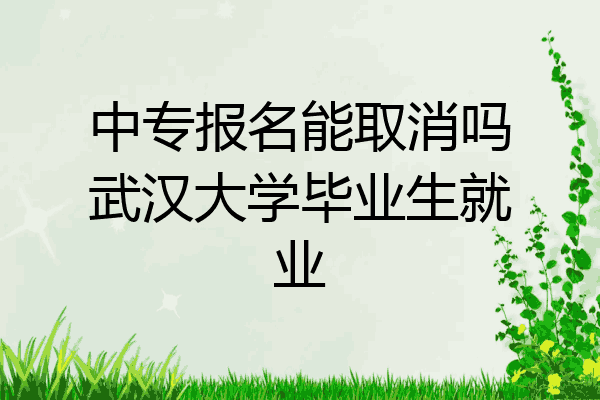 中专报名能取消吗武汉大学毕业生就业