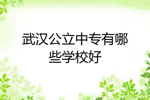 武汉公立中专有哪些学校好