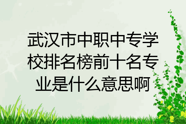 武汉市中职中专学校排名榜前十名专业是什么意思啊