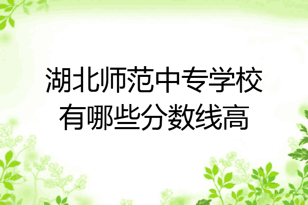 湖北师范中专学校有哪些分数线高