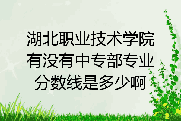 湖北职业技术学院有没有中专部专业分数线是多少啊