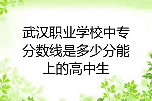 武汉职业学校中专分数线是多少分能上的高中生