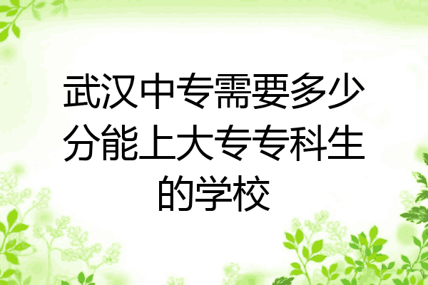 武汉中专需要多少分能上大专专科生的学校