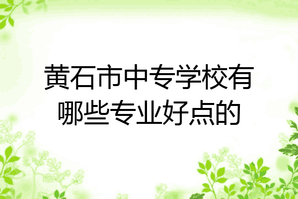 黄石市中专学校有哪些专业好点的