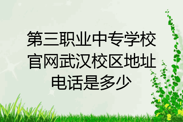 第三职业中专学校官网武汉校区地址电话是多少
