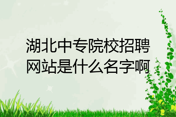 湖北中专院校招聘网站是什么名字啊