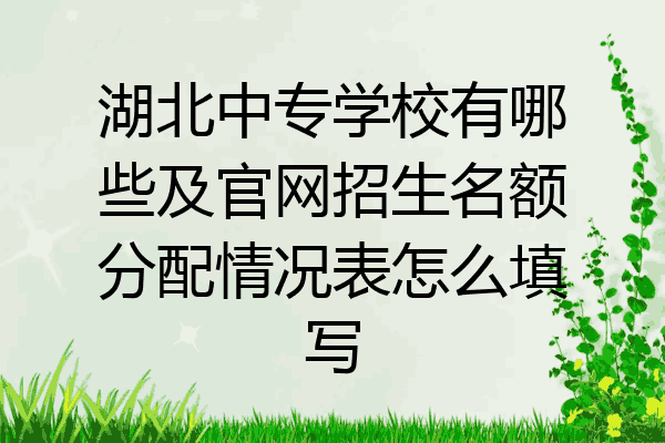 湖北中专学校有哪些及官网招生名额分配情况表怎么填写