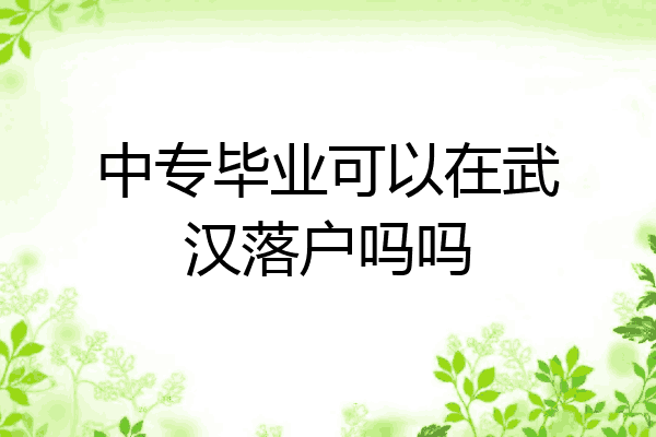 中专毕业可以在武汉落户吗吗