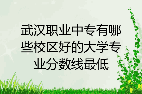 武汉职业中专有哪些校区好的大学专业分数线最低