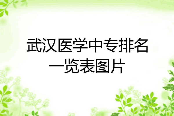 武汉医学中专排名一览表图片
