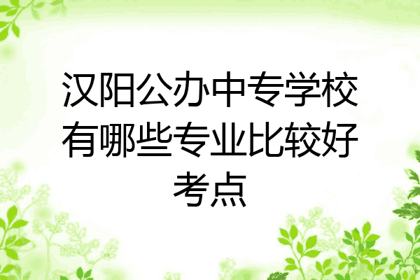 汉阳公办中专学校有哪些专业比较好考点