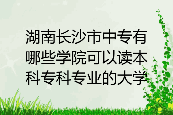 湖南长沙市中专有哪些学院可以读本科专科专业的大学