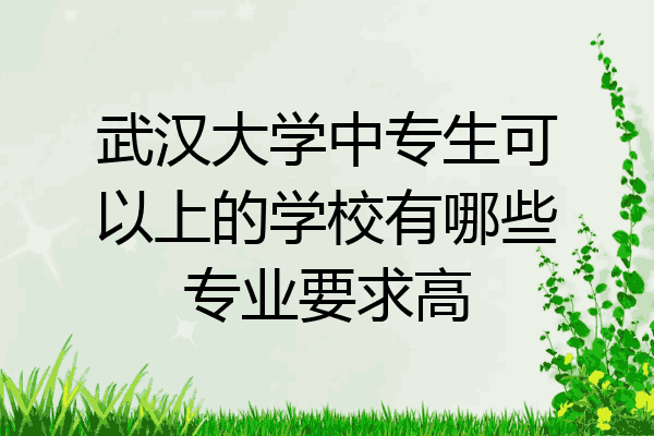 武汉大学中专生可以上的学校有哪些专业要求高