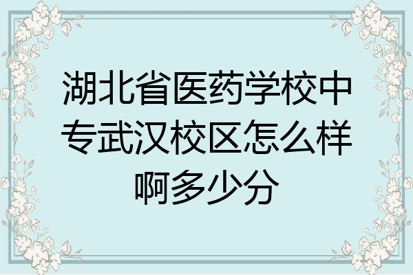 湖北省医药学校中专武汉校区怎么样啊多少分