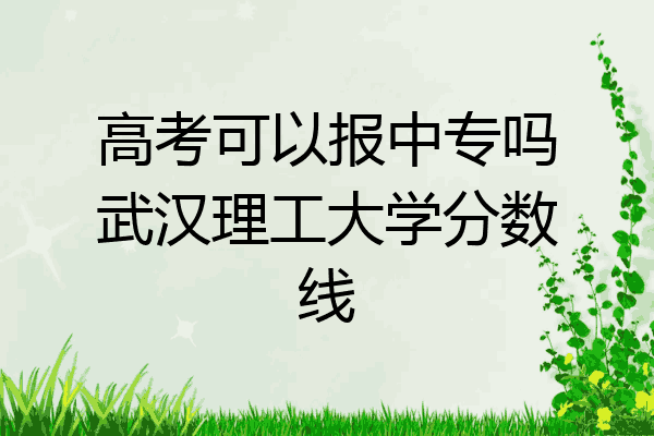 高考可以报中专吗武汉理工大学分数线