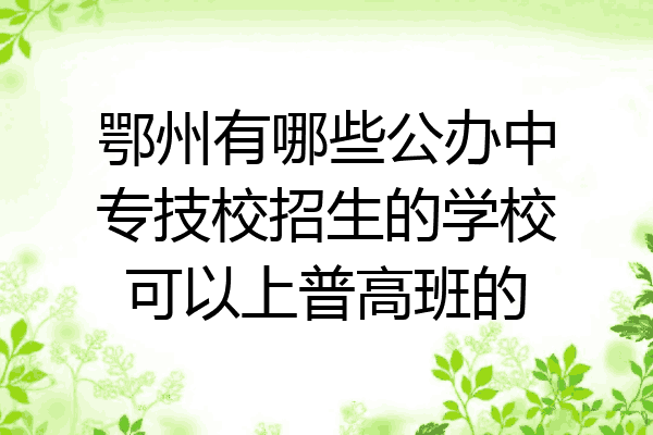 鄂州有哪些公办中专技校招生的学校可以上普高班的