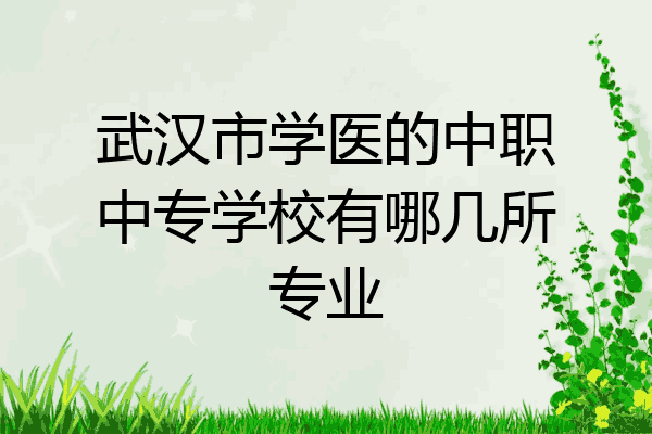 武汉市学医的中职中专学校有哪几所专业