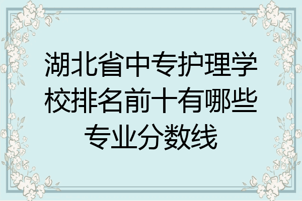湖北省中专护理学校排名前十有哪些专业分数线