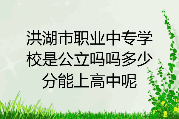 洪湖市职业中专学校是公立吗吗多少分能上高中呢