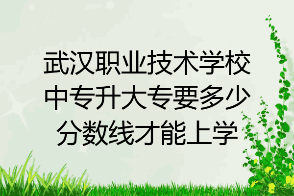 武汉职业技术学校中专升大专要多少分数线才能上学