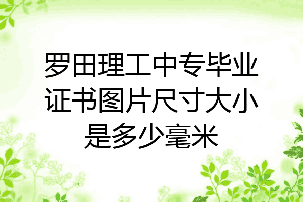 罗田理工中专毕业证书图片尺寸大小是多少毫米