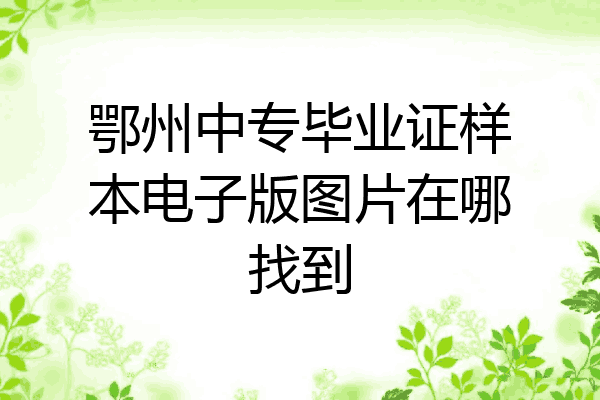 鄂州中专毕业证样本电子版图片在哪找到