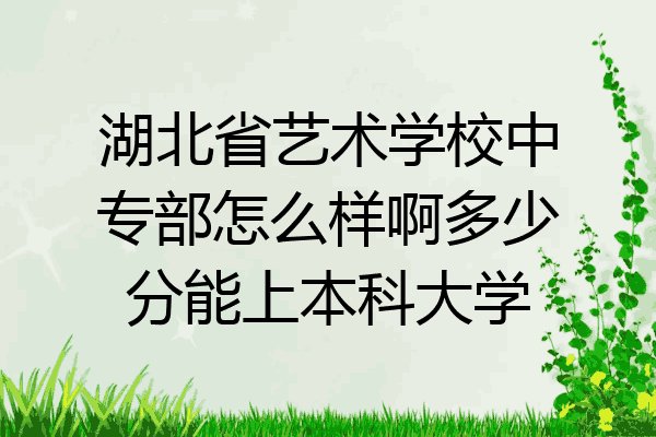 湖北省艺术学校中专部怎么样啊多少分能上本科大学