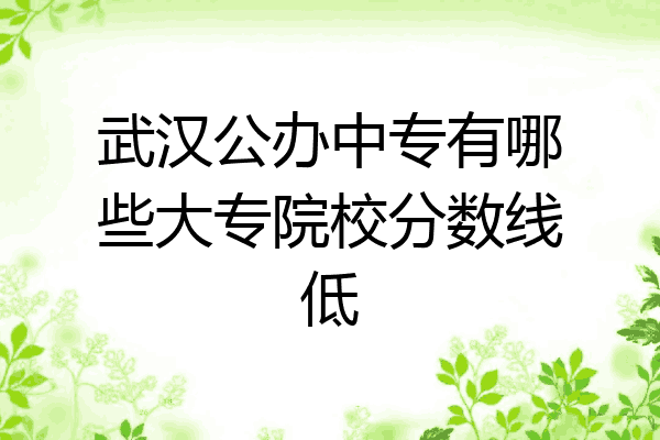 武汉公办中专有哪些大专院校分数线低