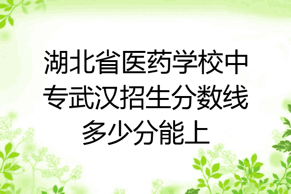 湖北省医药学校中专武汉招生分数线多少分能上